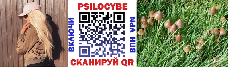 Псилоцибиновые грибы MAGIC MUSHROOMS  Дегтярск 